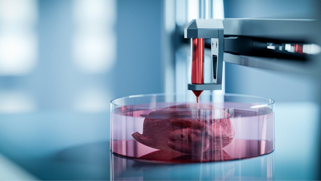3D printed heart being printed
